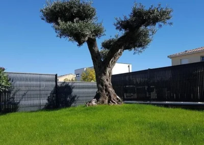 un beau gazon naturel s'entretient