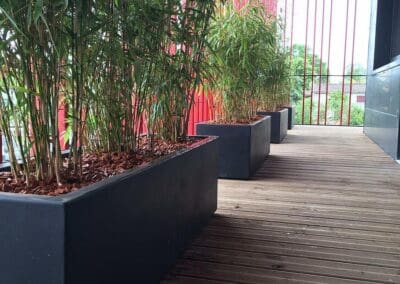 Espaces Verts Du Bocage
